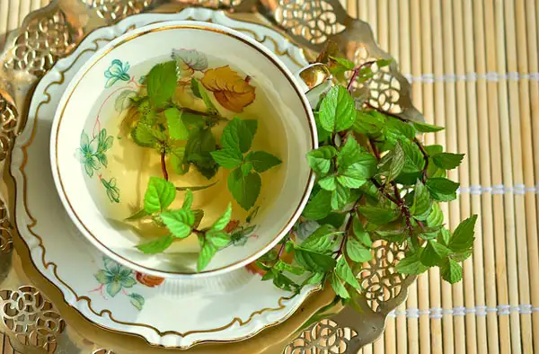 Infusion de menthe